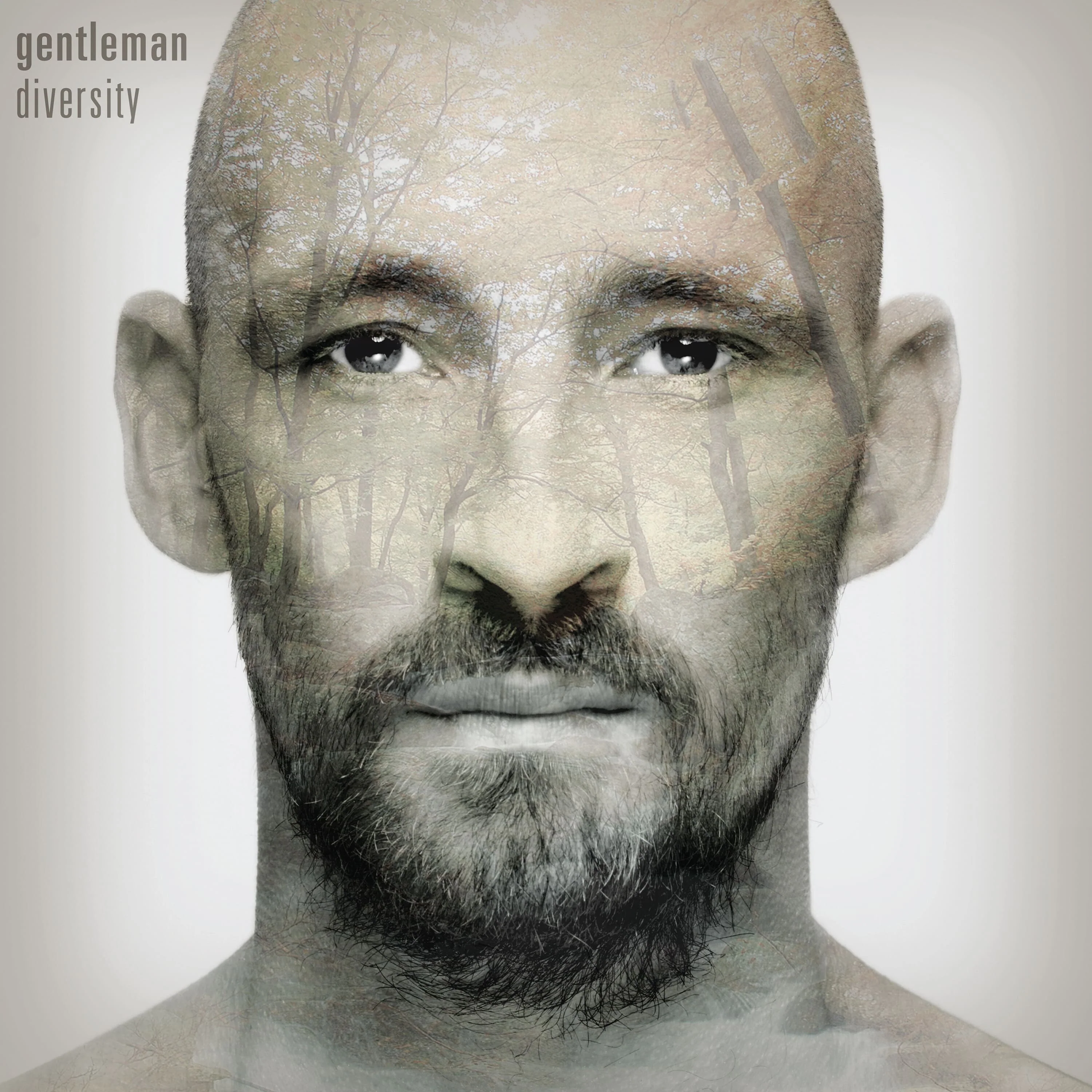 Diversity - Image 2