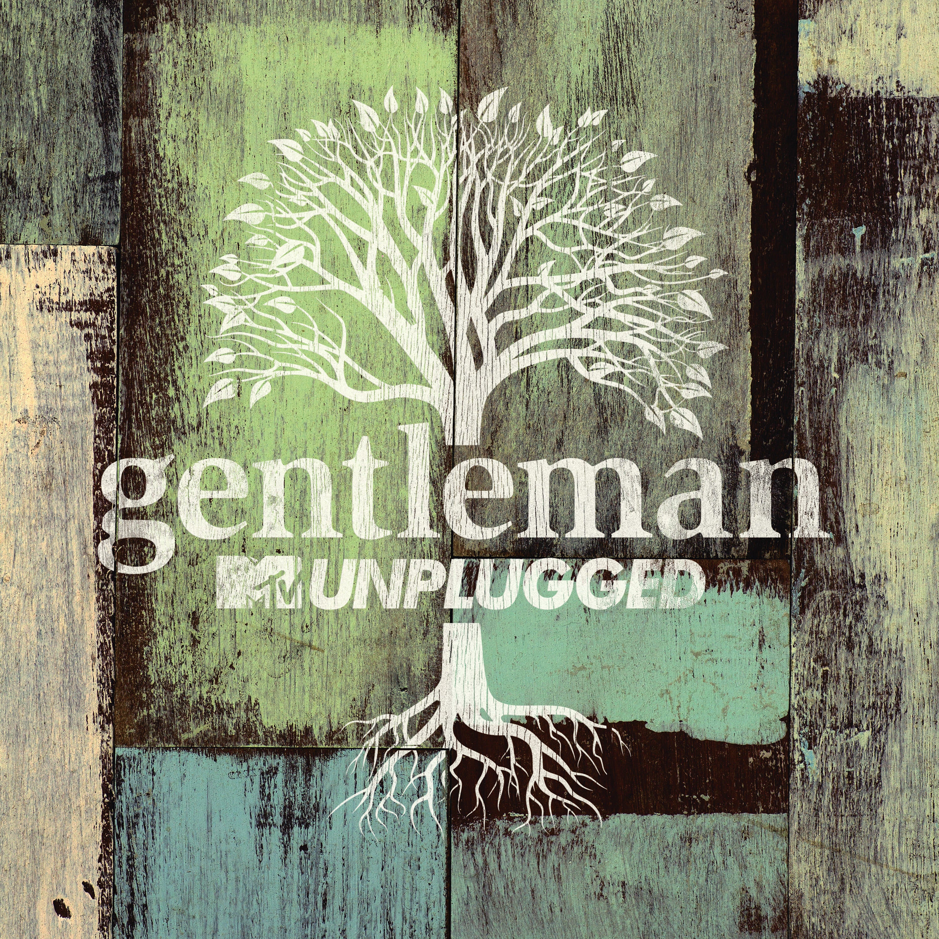 MTV Unplugged - Image 2